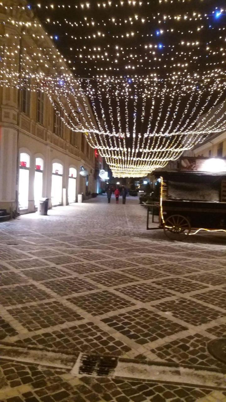 Duplex Alexander Apartment Brasov Luaran gambar